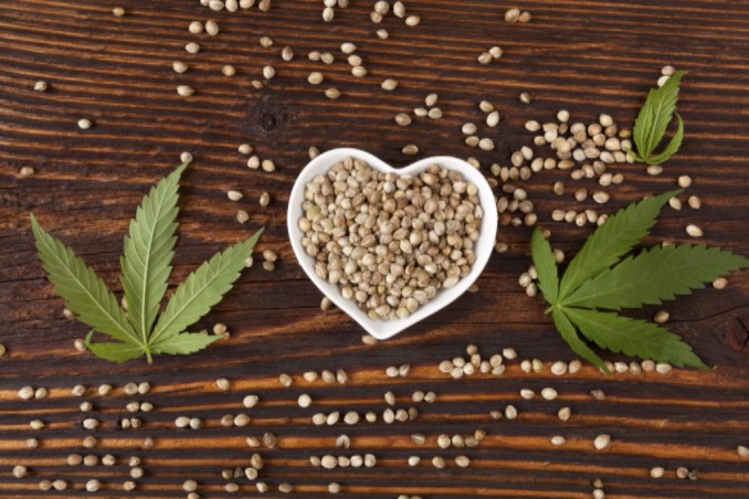 Hemp seeds with marijuana leaves: History of Hemp & Cannabis Blog