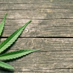 Cannabis leaf on wooden table: Phytanna Friends of Phytanna Blog